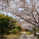 탐라목장 이미지