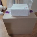 시온치과기공소 이미지