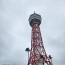 마린월드 (페리 결항) 관람순서 꿀팁, 돌고래쇼,외양대수조쇼,정어리타이푼쇼, 수족관 식당, 펭귄퍼레이드