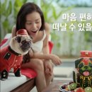 피알닷컴 이미지