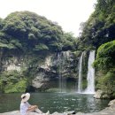 천지연 폭포 | 💧 서귀포에서 너무 가까운 자연 명소, 제주 천지연폭포 방문 후기