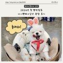 러블리마이펫 | 2024년 첫 펫박람회 마이펫페어일산 오픈런 관람 후기, 킨텍스 주차, 이벤트 공유