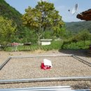 놀스타일 이미지