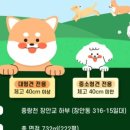 놀이터칼국수 네이버블로그