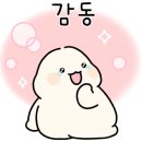 조쌤점핑허브다이어트