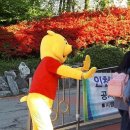 계산초등학교 이미지