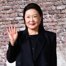 김해숙 카카오 검색결과