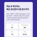 영어회화 어플 비교 후 민트영어 내돈내산