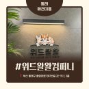 해이당 부산애견호텔 강아지유치원 반려견미용 목욕 교육 훈련 | 동래애견미용 추천 부산강아지미용 전문 위드왈왈 방문기