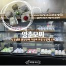 중교로 | [대전모찌] 대전 영춘모찌 가성비 넘치는 수제 과일 찹쌀떡 주말 오픈런 내돈내산 후기(주차/종류/맛/가격)