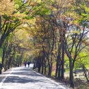 마니산 국민관광지 이미지