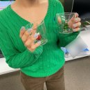 과메기일호식당 | 광화문워킹맘의 일상- 12월의 첫째 주