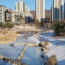 바람꽃공원 이미지