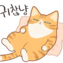 화사랑병원 이미지