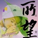 해솔 이미지
