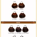 금보라미용실 | 160527 셀프염색추천 '로레알 마지렐 7.23 + 6.23'