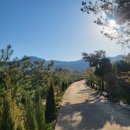 용복농장 이미지