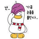 똥광노래