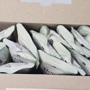 콩사랑 영농조합법인 이미지