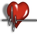 어셈블피티샵 이미지