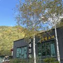 물소리바람소리 | 물소리바람소리 식당 | 정선 파크로쉬 근처 맛집 내돈내산 후기