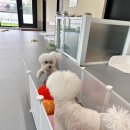 아이멍그라운드 이미지