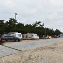 D00304 | 강릉 연곡 솔향기캠핑장 리뷰 / 2018 Jul.