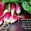 블루힐농장 이미지