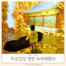 보현산녹색체험터그린카페(카페브리즈) | 보현산천문대 영천 녹색체험터 대형놀이터와 키즈카페까지
