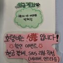 강아지집 | 원주 고양이 호텔 (강아지집) 후기