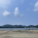 맹종죽테마공원 | [STAY 58] 거제 카페 풍경이 이쁜 카페 추천 맹종죽테마공원 근처 카페 추천 내돈내산 후기