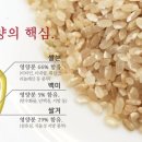 햇살 떡집 이미지