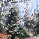 우산천 티스토리