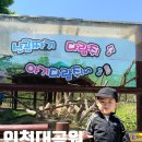 멋찐여우 | 인천대공원 동물원 무료입장 인천 아이와 가볼만한곳 가까운주차장
