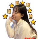 강셰프의키친 | 몸국과 돌솥비빔밥이 맛있었던 제주 "강셰프의 키친" 내돈내산 후기