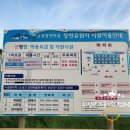 장천마을휴양지 네이버블로그