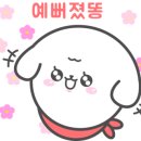 사개절 펫살롱 이미지