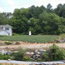 마당발공인중개사사무소 이미지