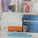 올바른온누리약국 이미지
