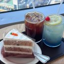 [서울, 신촌] 유플렉스 12층 전망 맛집 | 일러스타 카페 후기