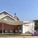 댕댕그라운드 이미지