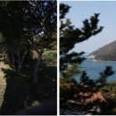 바닷가이솝아저씨네집 이미지