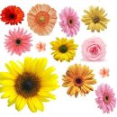 스티커포토샵 이미지