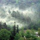 마스터케이 이미지