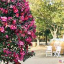 신흥2리 복지타운 이미지