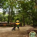 대청공원AP1(남자화장실좌측) | 나의 휴일은? 한국민속촌에서 16개월 된 아들내미랑 산책