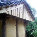 자인당 Daum카페