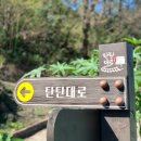 철암초등학교 | 백패킹 | 아이와 백패킹 - 태백인(Taebaek IN)단풍 다녀온 후기