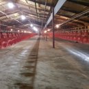 만수양계장 이미지