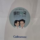 지에스칼텍스(주)케이티엑스주유소 | [세종약국] 맞춤 건강상담 가능한 약국 추천, 셀린약국 솔직후기